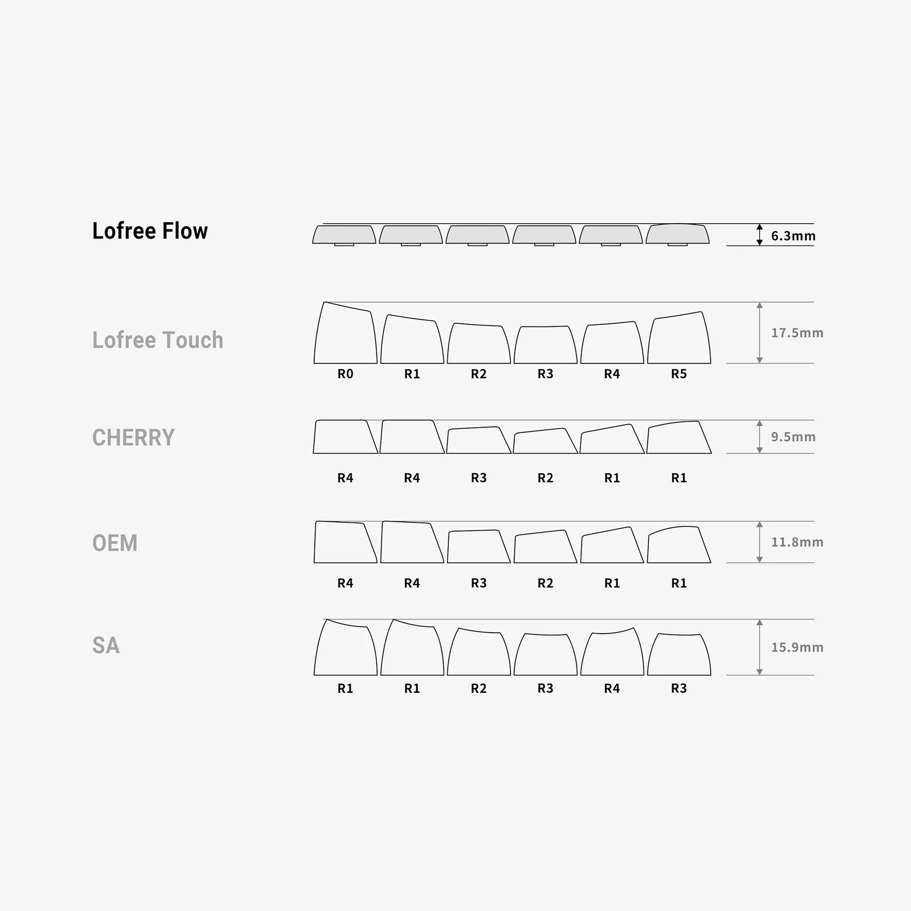 Dear Kitty